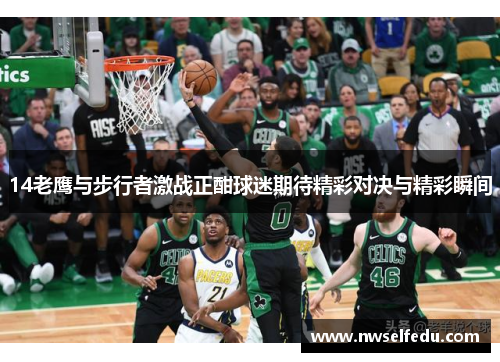14老鹰与步行者激战正酣球迷期待精彩对决与精彩瞬间